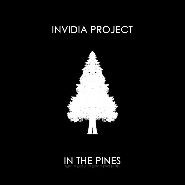 Invidia Project
